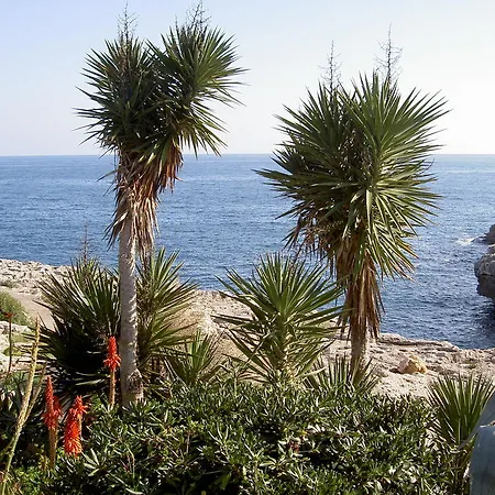 Parque Mar Resort 3*